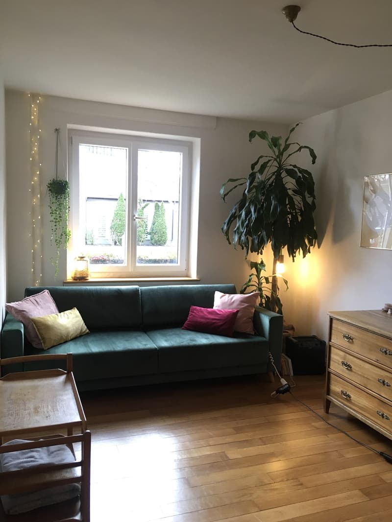 Kreis 4, Untermiete 3.5 Zimmer Wohnung 11. Juli für 5 Wochen (2)