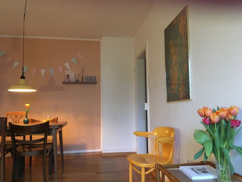Kreis 4, Untermiete 3.5 Zimmer Wohnung 11. Juli für 5 Wochen (3)
