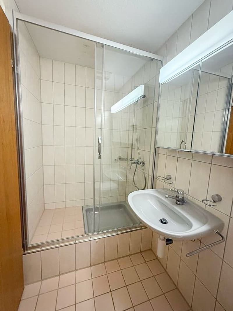 Beautiful 3.5-room apartment in Zürich Enge lease takeover until 31 March 2027 (11)
