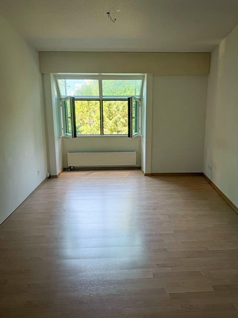 Beautiful 3.5-room apartment in Zürich Enge lease takeover until 31 March 2027 (13)
