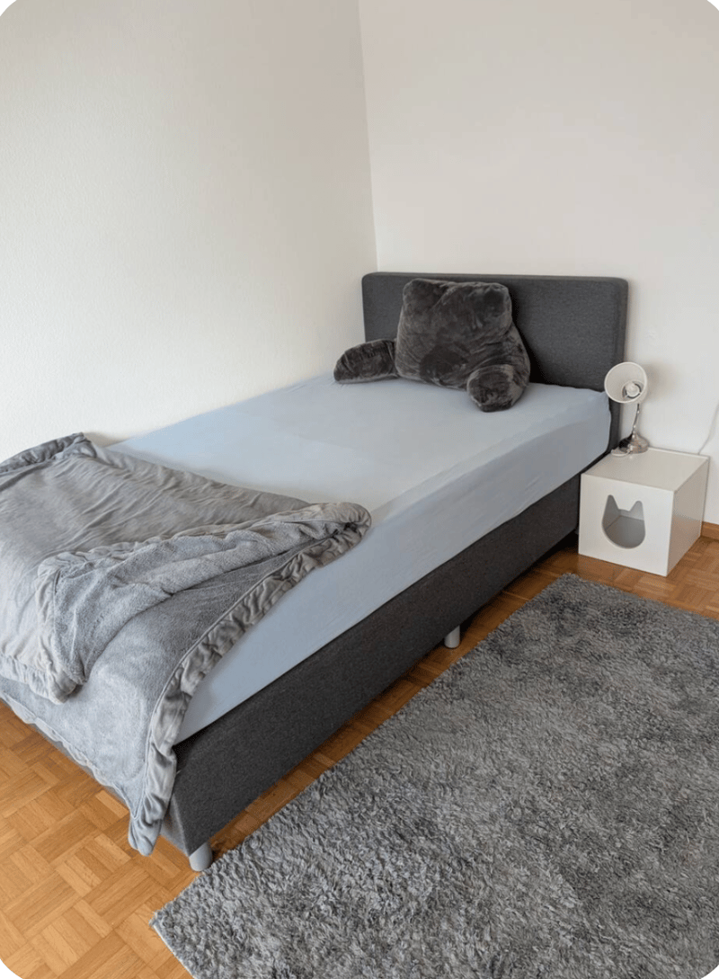 Available for rent immediately 4.5 room furnished apartment in Zollikon (3)