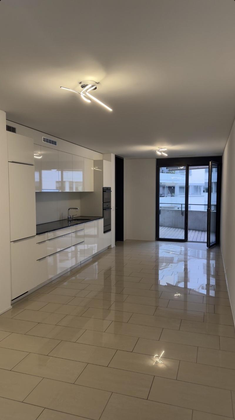 Appartamento 2,5 locali moderno in affitto (contratto a lungo termine) (5)