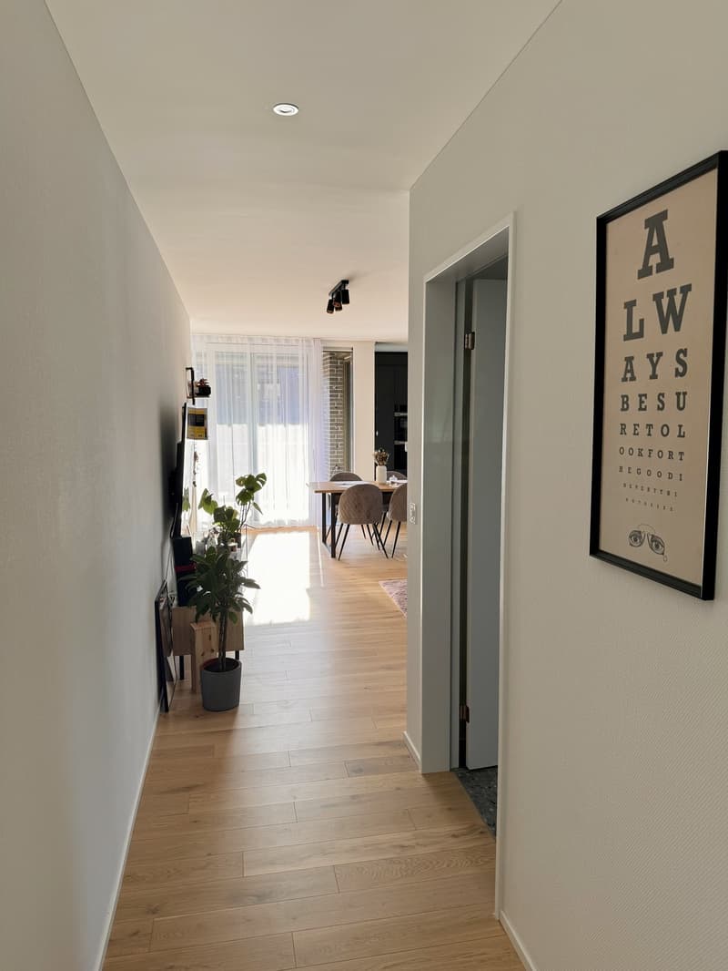 Appartamento 2,5 locali in affitto (5)