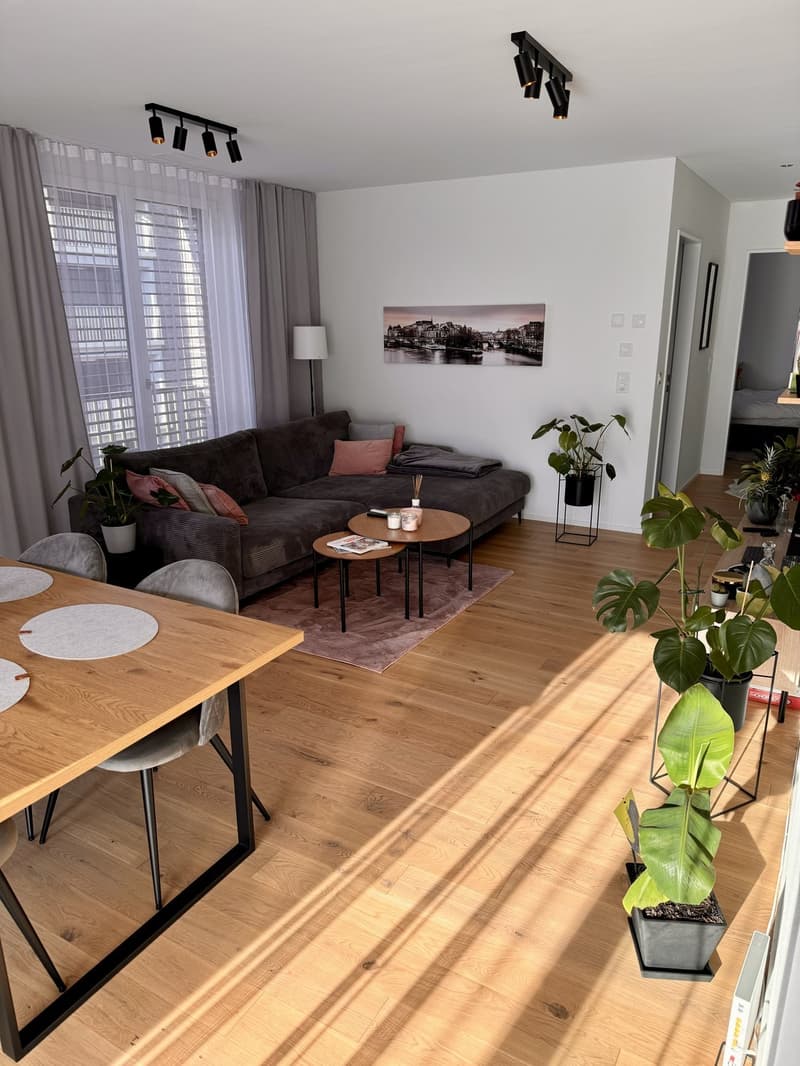 Appartamento 2,5 locali in affitto (2)