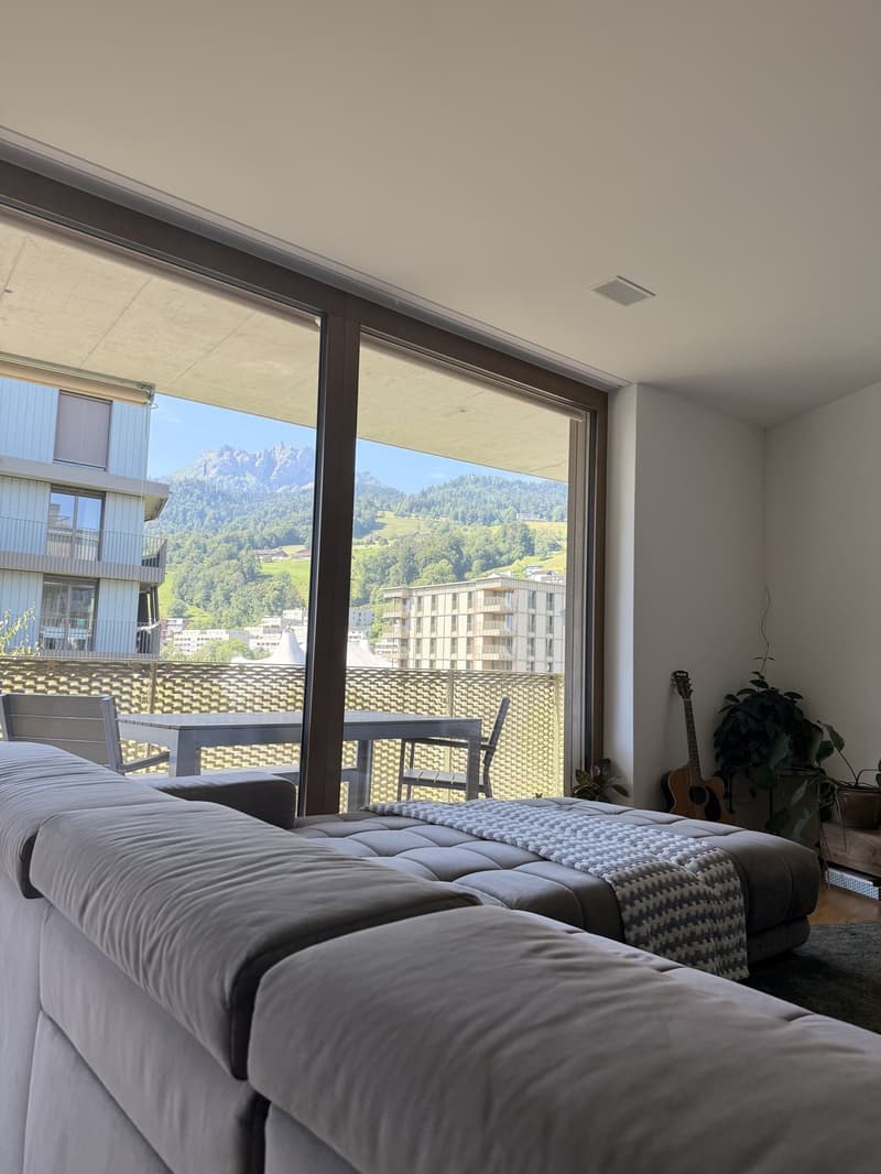 Temporary Sublet Comfortable Furnished Apartment near Lucerne (1)