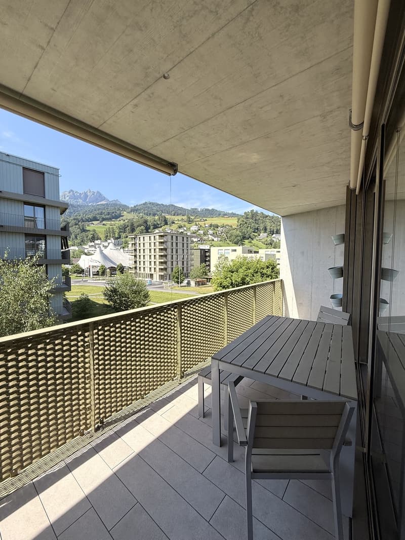 Temporary Sublet Comfortable Furnished Apartment near Lucerne (2)