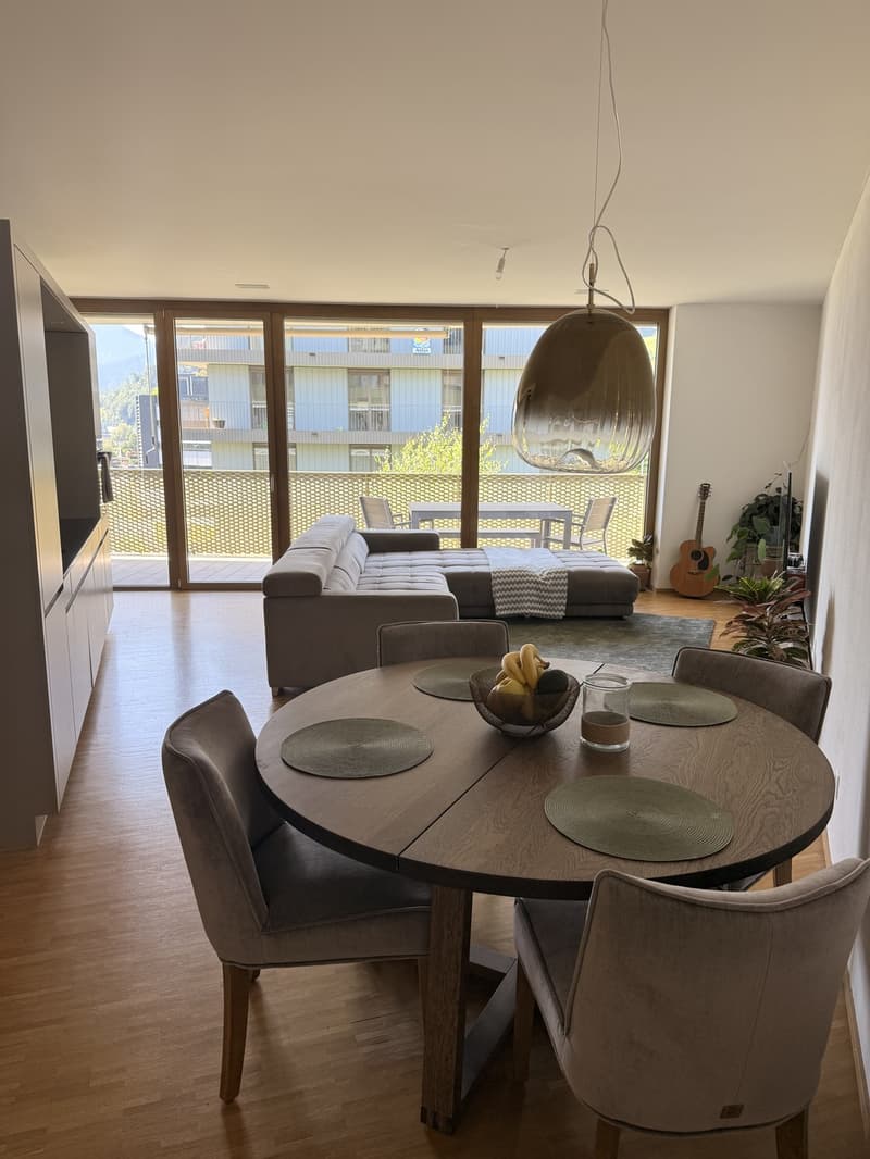Temporary Sublet Comfortable Furnished Apartment near Lucerne (3)