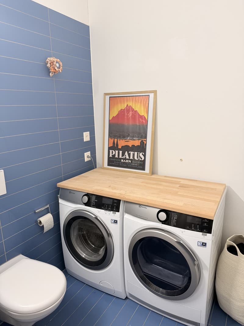 Temporary Sublet Comfortable Furnished Apartment near Lucerne (9)