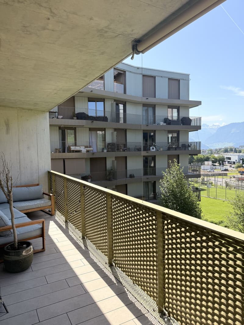 Temporary Sublet Comfortable Furnished Apartment near Lucerne (5)