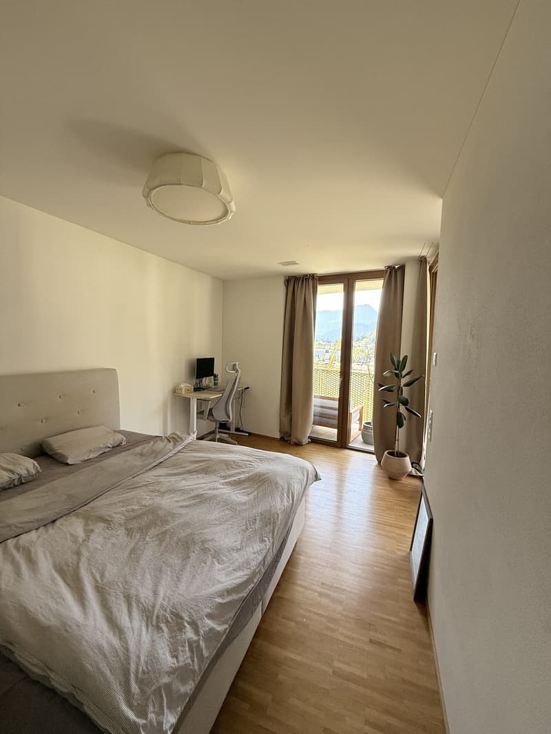 Temporary Sublet Comfortable Furnished Apartment near Lucerne (7)
