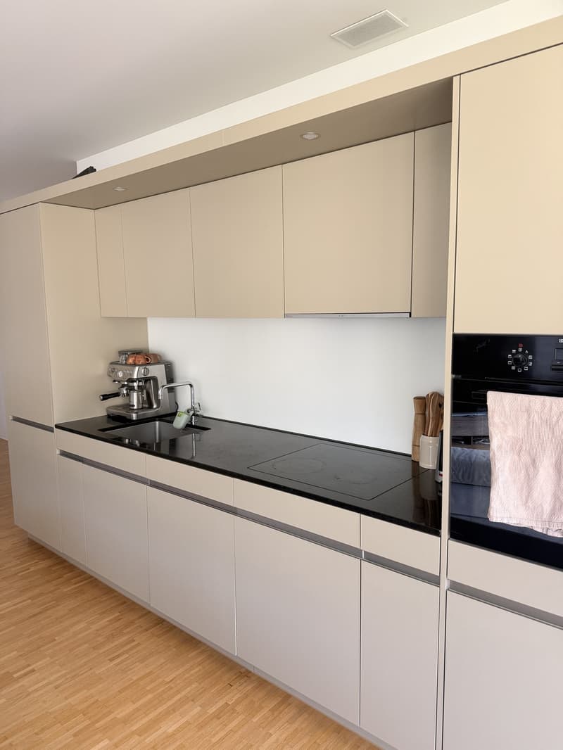 Temporary Sublet Comfortable Furnished Apartment near Lucerne (6)