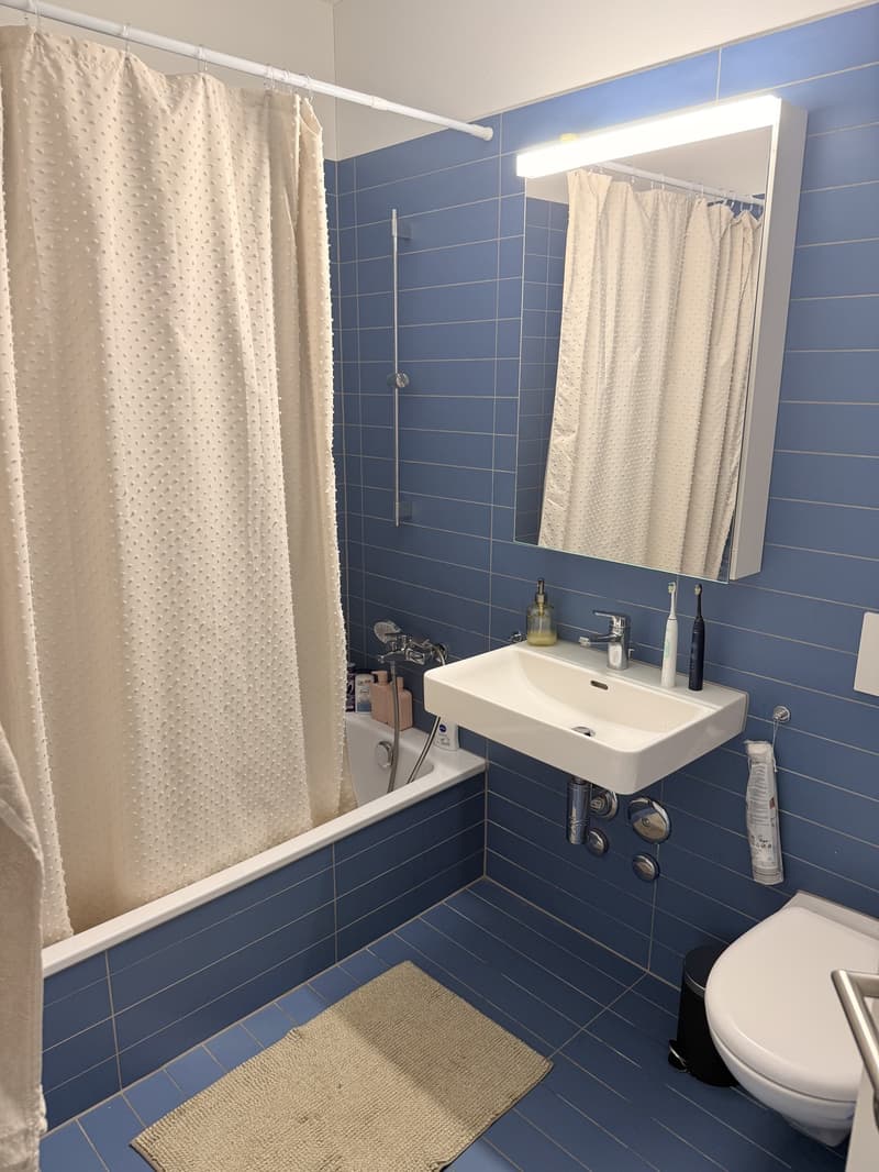 Temporary Sublet Comfortable Furnished Apartment near Lucerne (8)