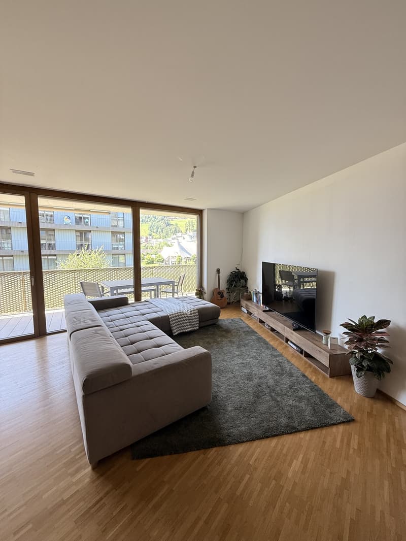 Temporary Sublet Comfortable Furnished Apartment near Lucerne (4)