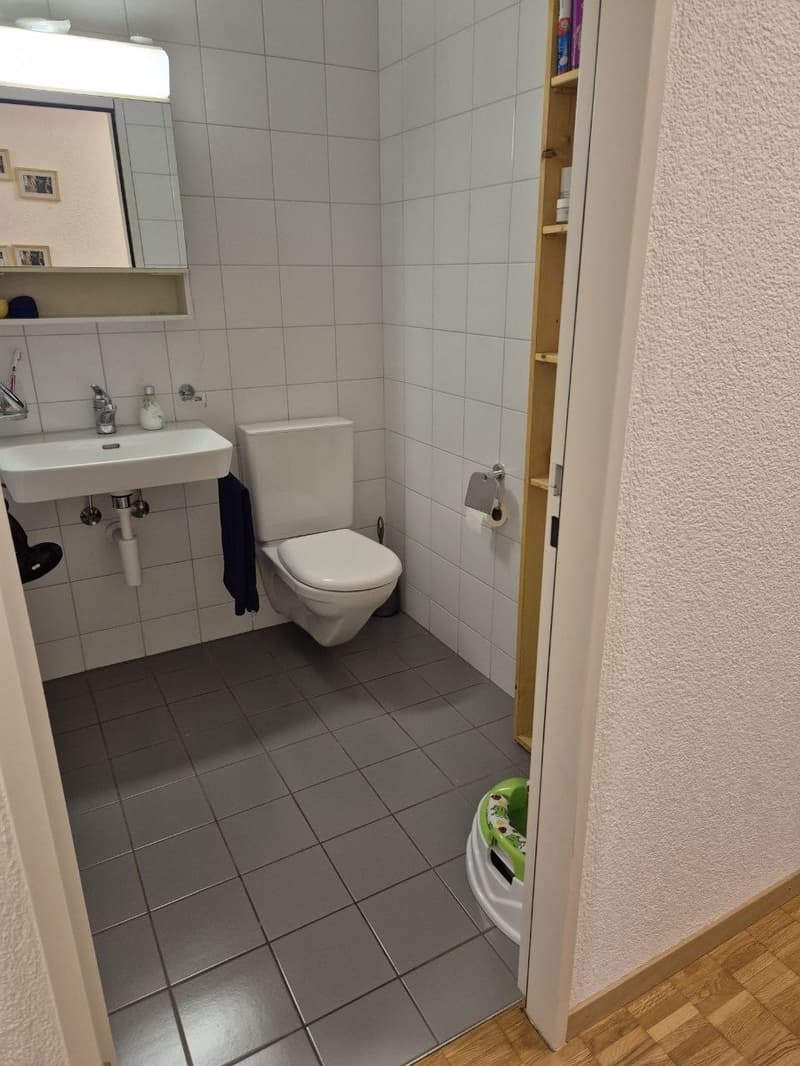 4.5 Zimmerwohnung im Breitenrain für 2 Jahre (4)