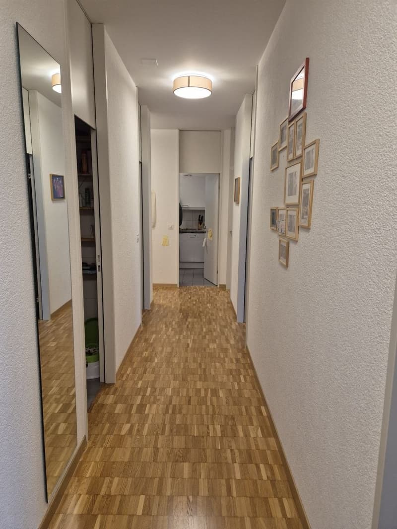 4.5 Zimmerwohnung im Breitenrain für 2 Jahre (8)