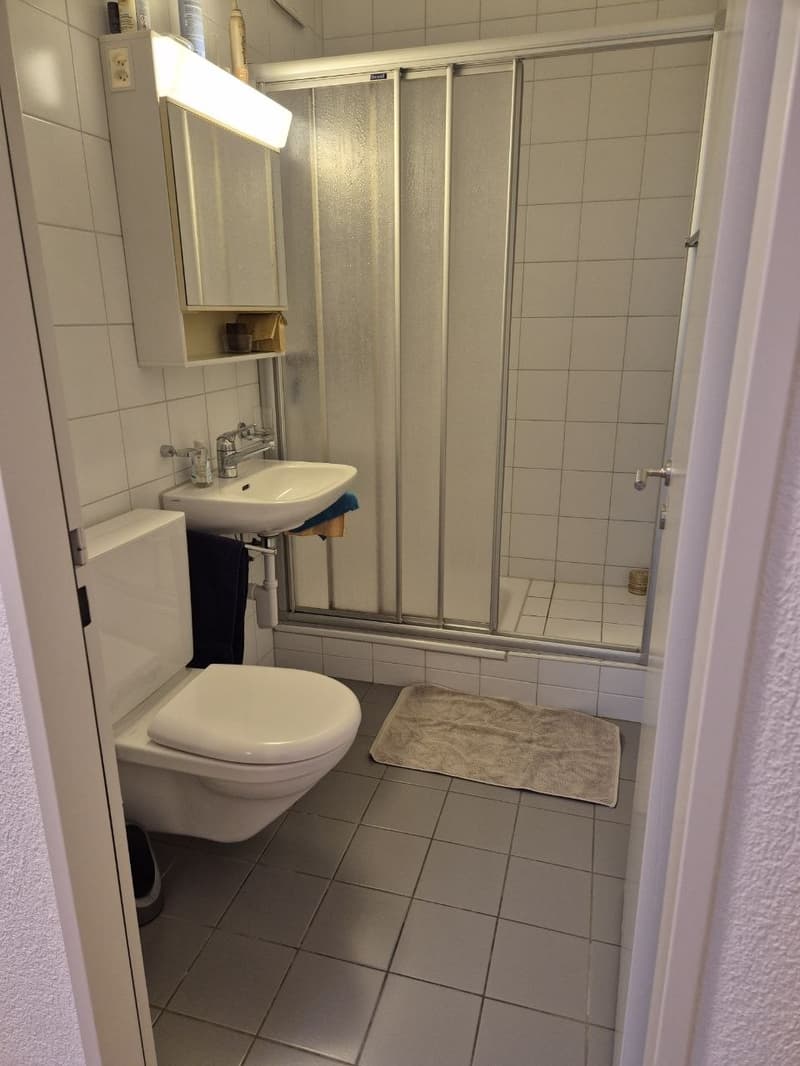 4.5 Zimmerwohnung im Breitenrain für 2 Jahre (5)