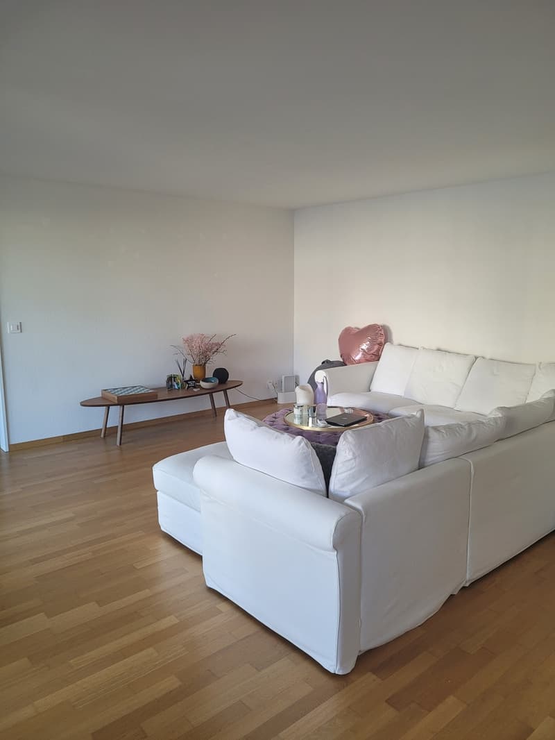 Appartement 2 ½ pièces, 8048 Zurich (1)