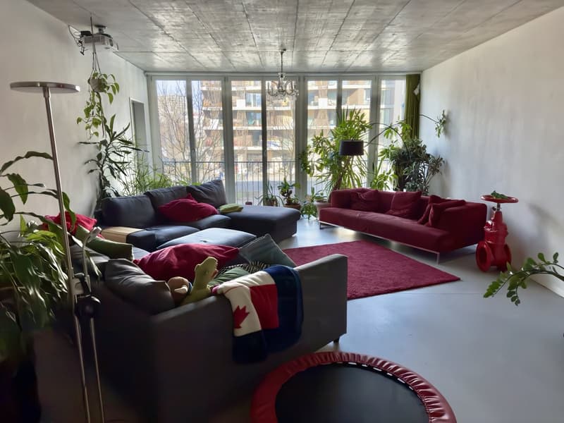 Deux chambres dans un appartement partagé en satellite à Oerlikon (8)