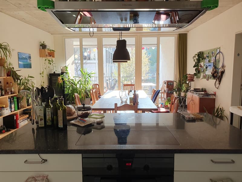 Deux chambres dans un appartement partagé en satellite à Oerlikon (9)
