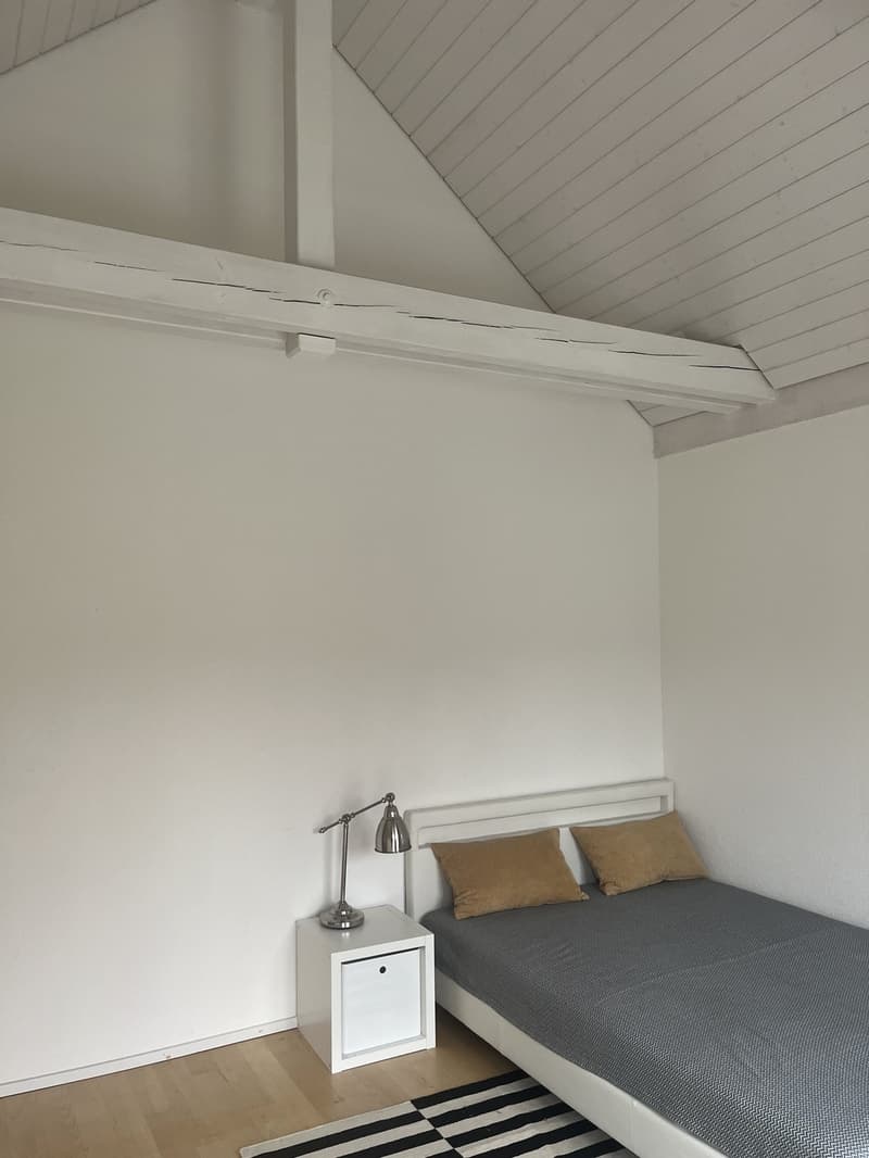 Room with private Bath Room and Balcony /Zimmer sit epigene WC und Balkon (3)