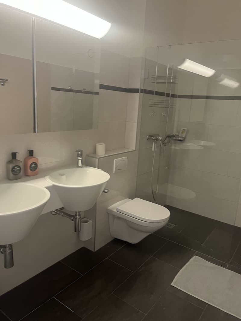 Room with private Bath Room and Balcony /Zimmer sit epigene WC und Balkon (4)