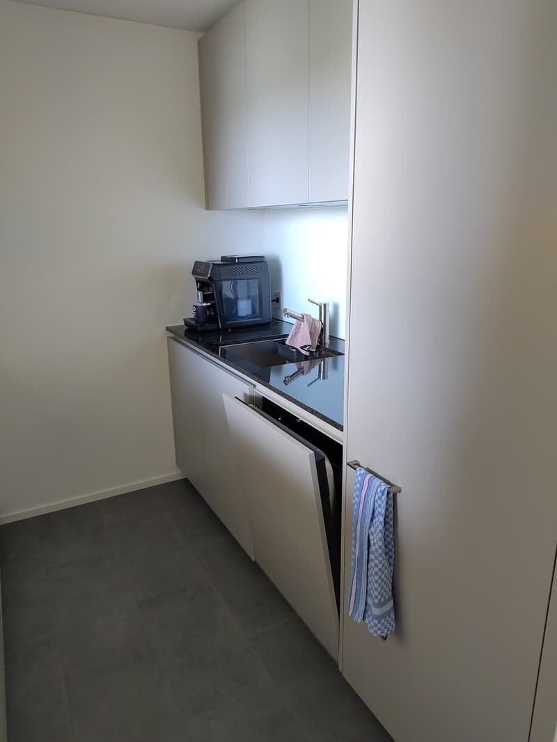 Appartamento 2.5 locali a Hinwil (6)