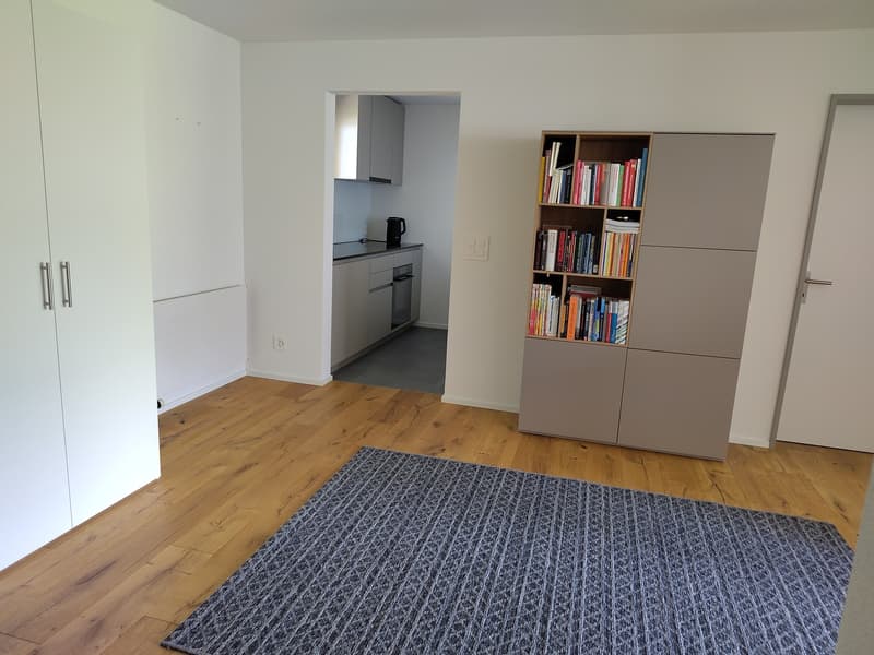 Appartamento 2.5 locali a Hinwil (4)