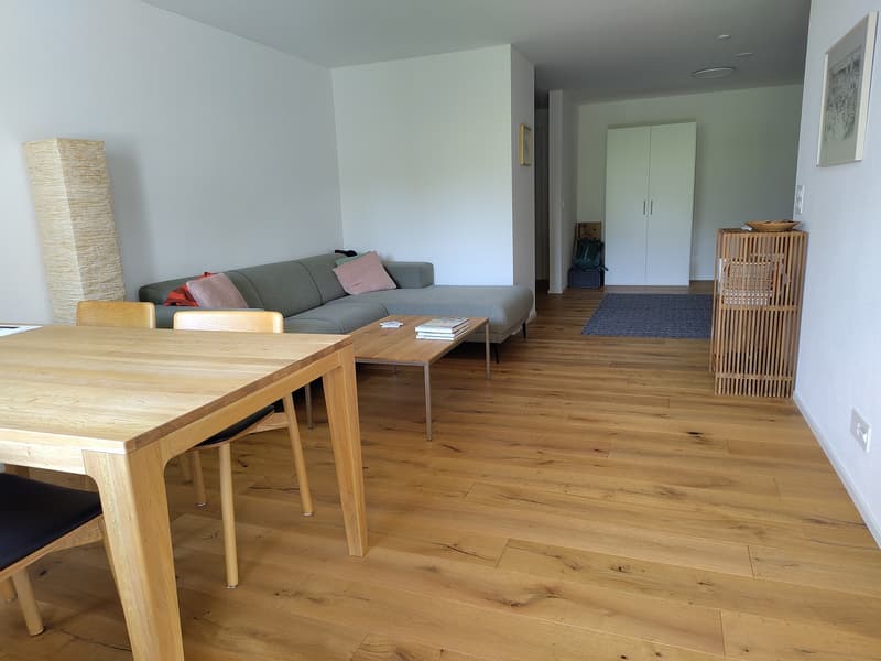 Appartamento 2.5 locali a Hinwil (13)