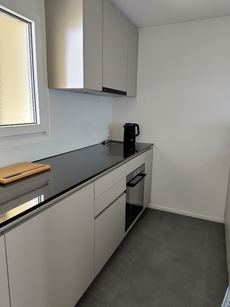 Appartamento 2.5 locali a Hinwil (5)