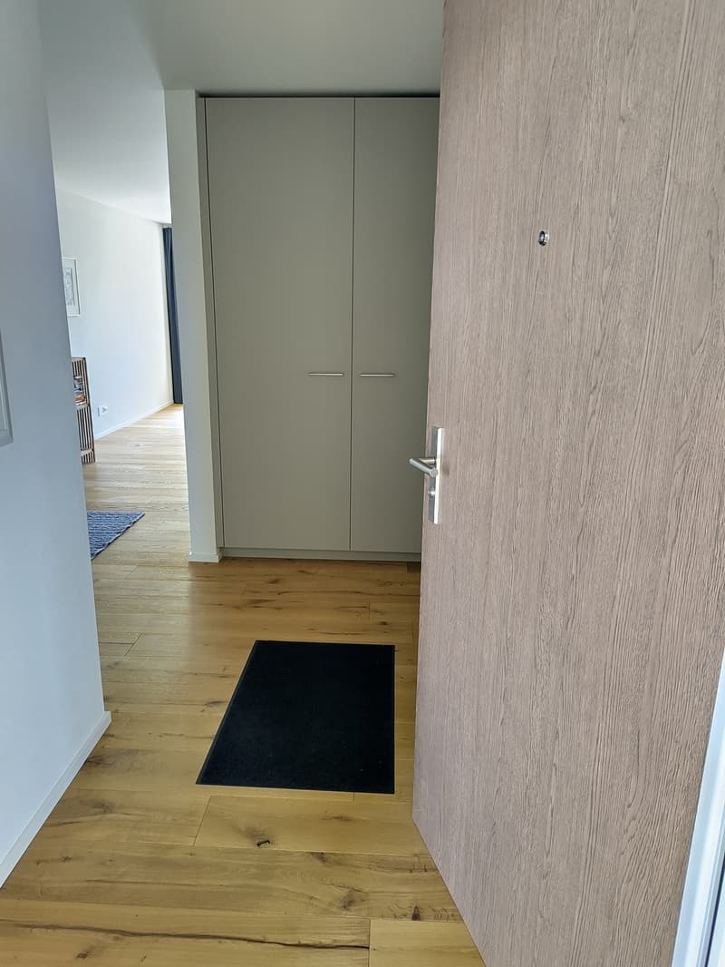 Appartamento 2.5 locali a Hinwil (2)
