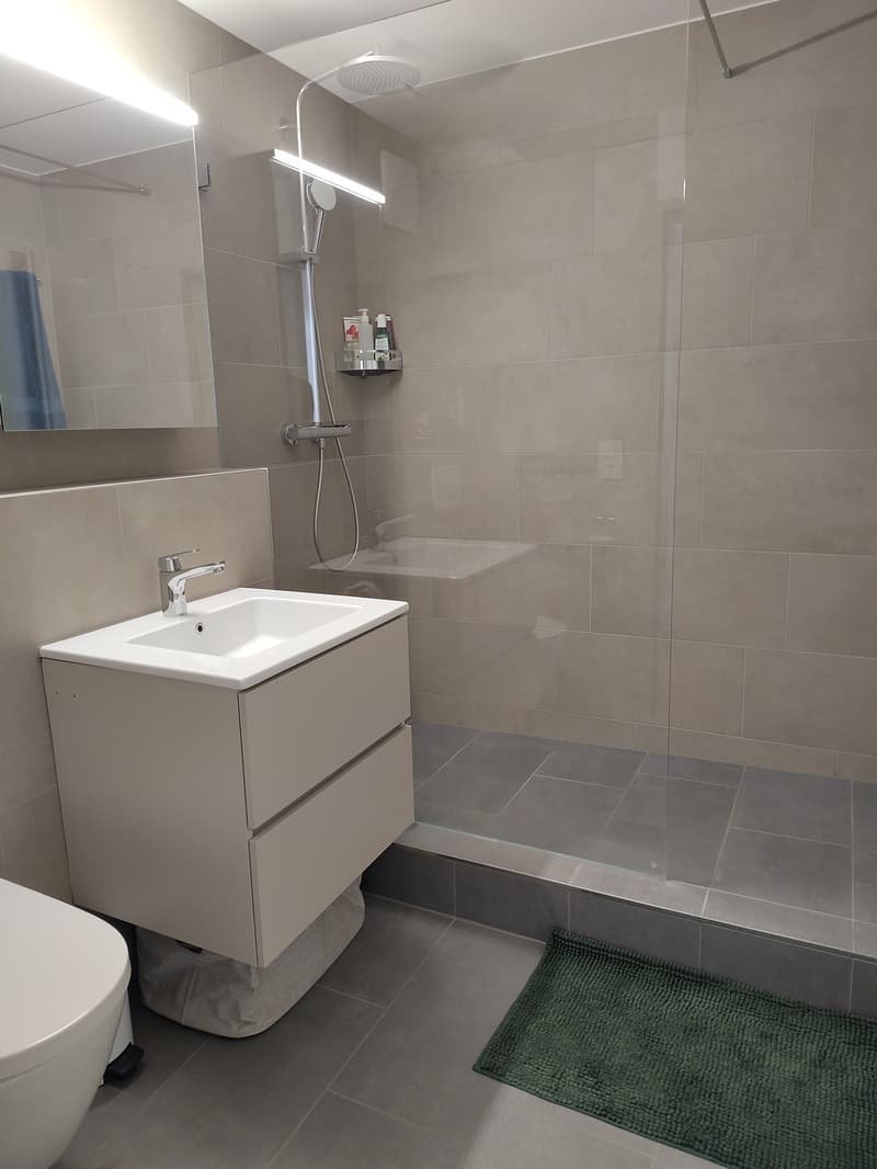 Appartamento 2.5 locali a Hinwil (12)