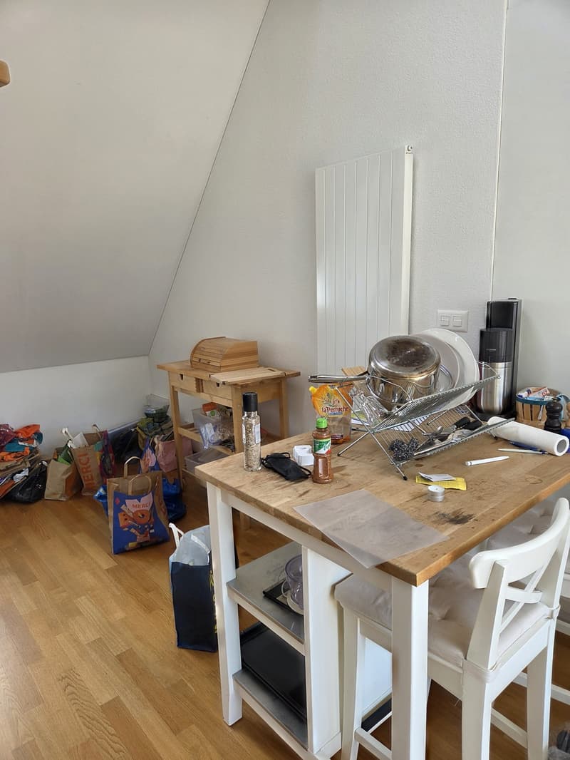 2 ½ rooms apartment, 8003 Zurich (5)