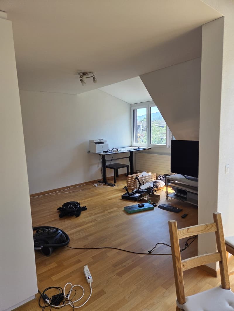 2 ½ rooms apartment, 8003 Zurich (12)