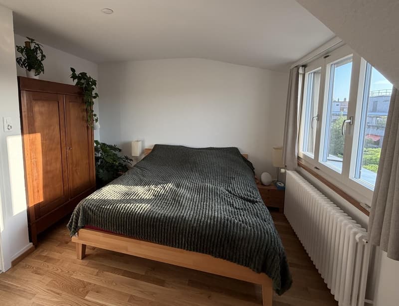Appartamento mansardato bellissimo in Längasse (4)