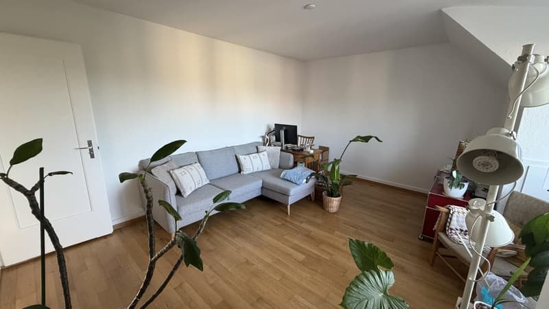 Appartamento mansardato bellissimo in Längasse (3)
