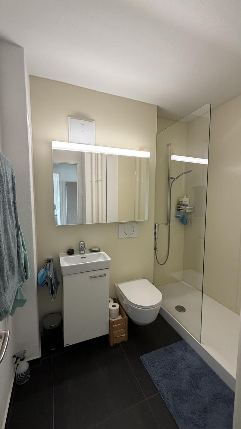 Appartamento mansardato bellissimo in Längasse (8)