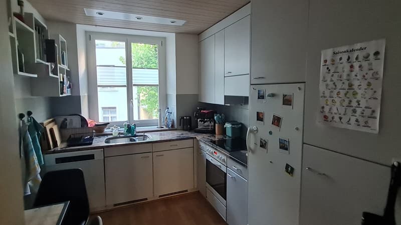 Temporär: Traumwohnung mit Terrasse mitten in Zürich (4)