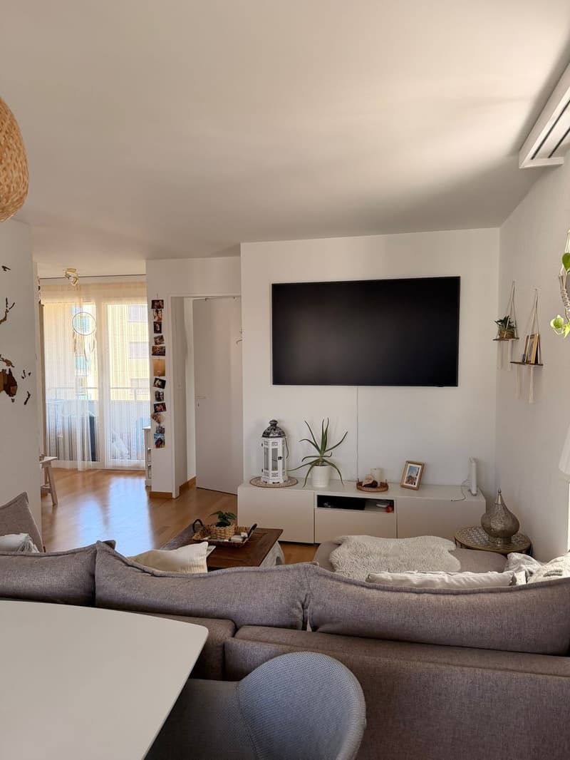 Bright 2.5 room apartment directly on the lake (2)