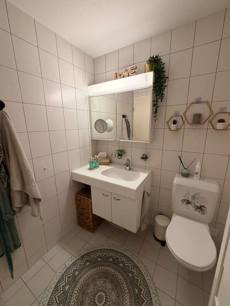 Bright 2.5 room apartment directly on the lake (6)
