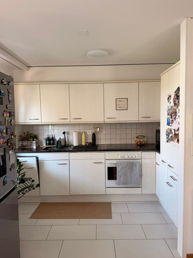 Bright 2.5 room apartment directly on the lake (4)