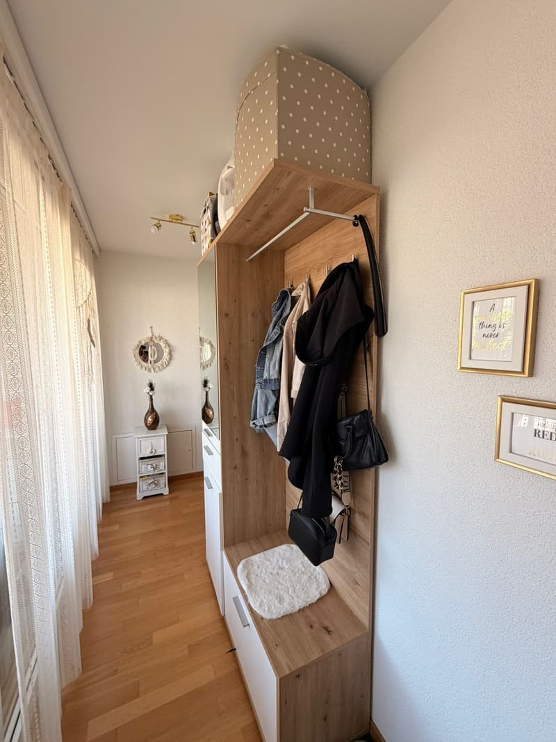 Bright 2.5 room apartment directly on the lake (5)