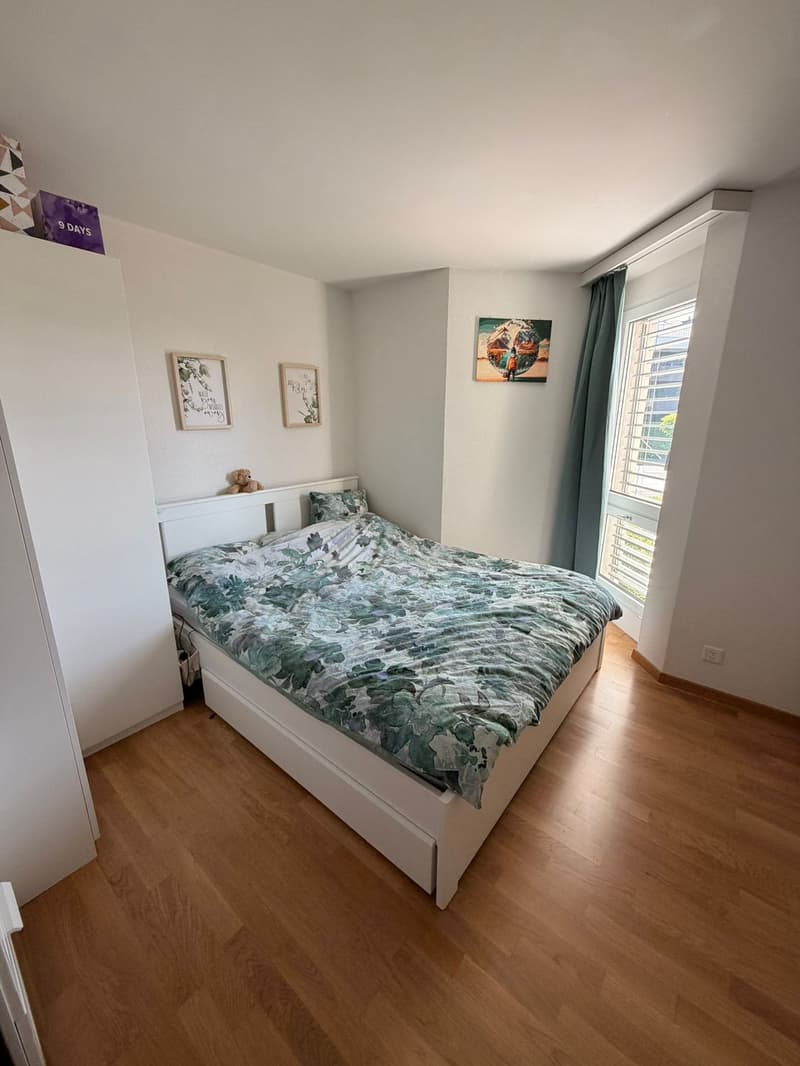 Bright 2.5 room apartment directly on the lake (8)