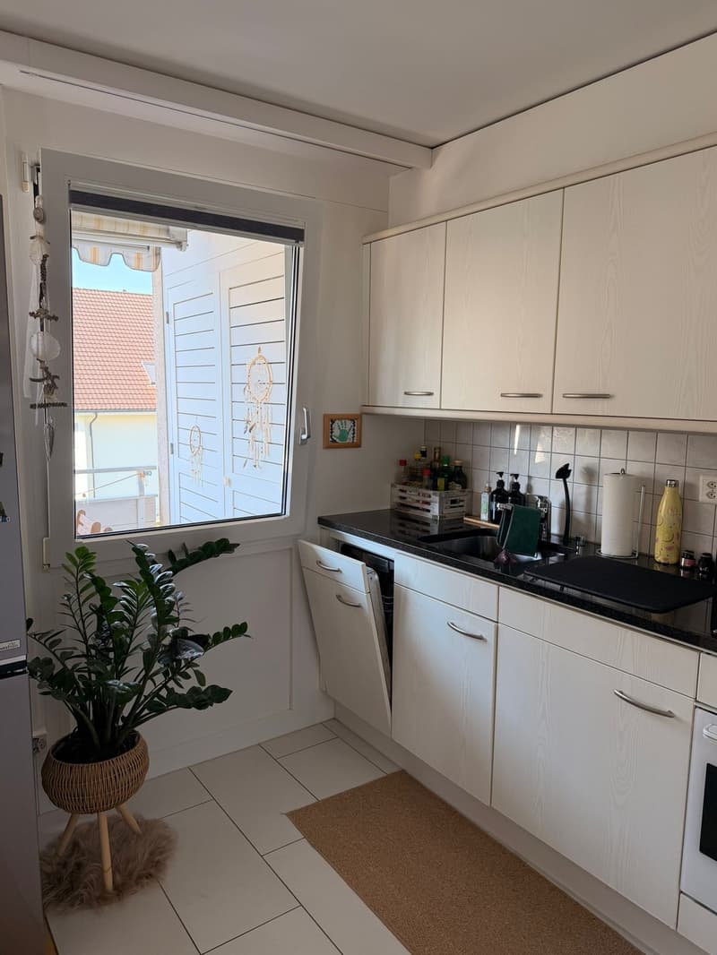 Bright 2.5 room apartment directly on the lake (3)