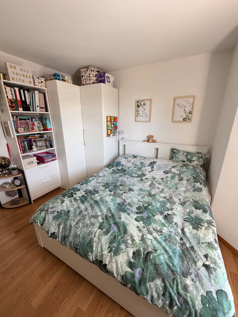 Bright 2.5 room apartment directly on the lake (9)