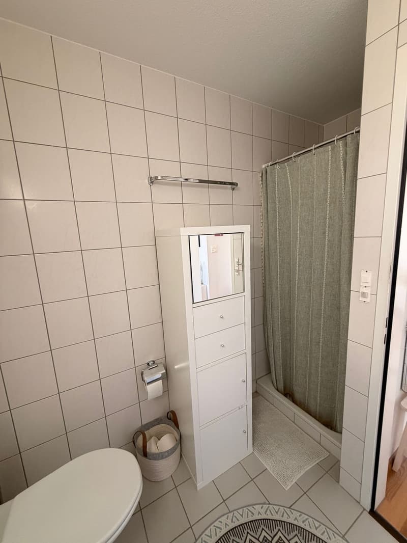 Bright 2.5 room apartment directly on the lake (7)