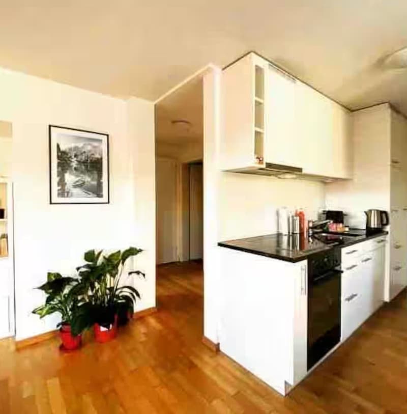 2.5 limmatplatz - 1 year renewable furnished (5)