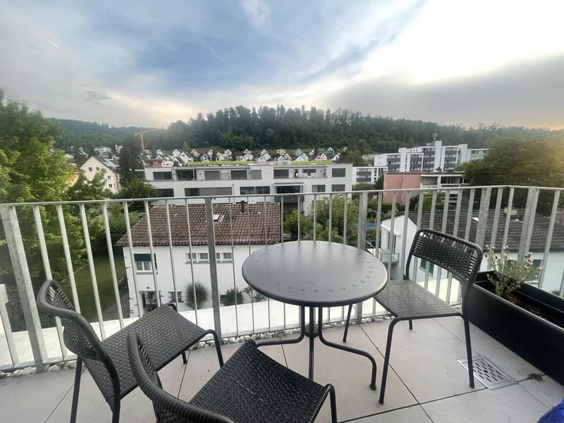 Schöne Attikawohnung mit Aussicht (4)