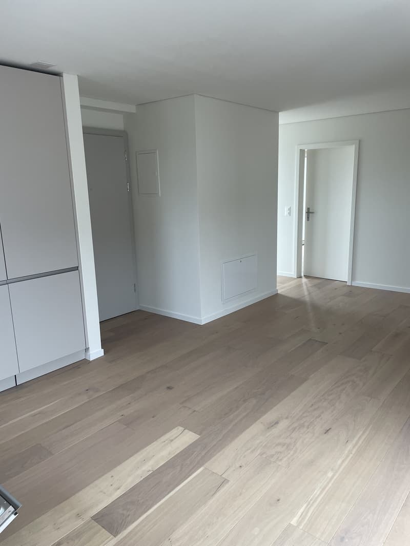 Schöne Attikawohnung mit Aussicht (13)