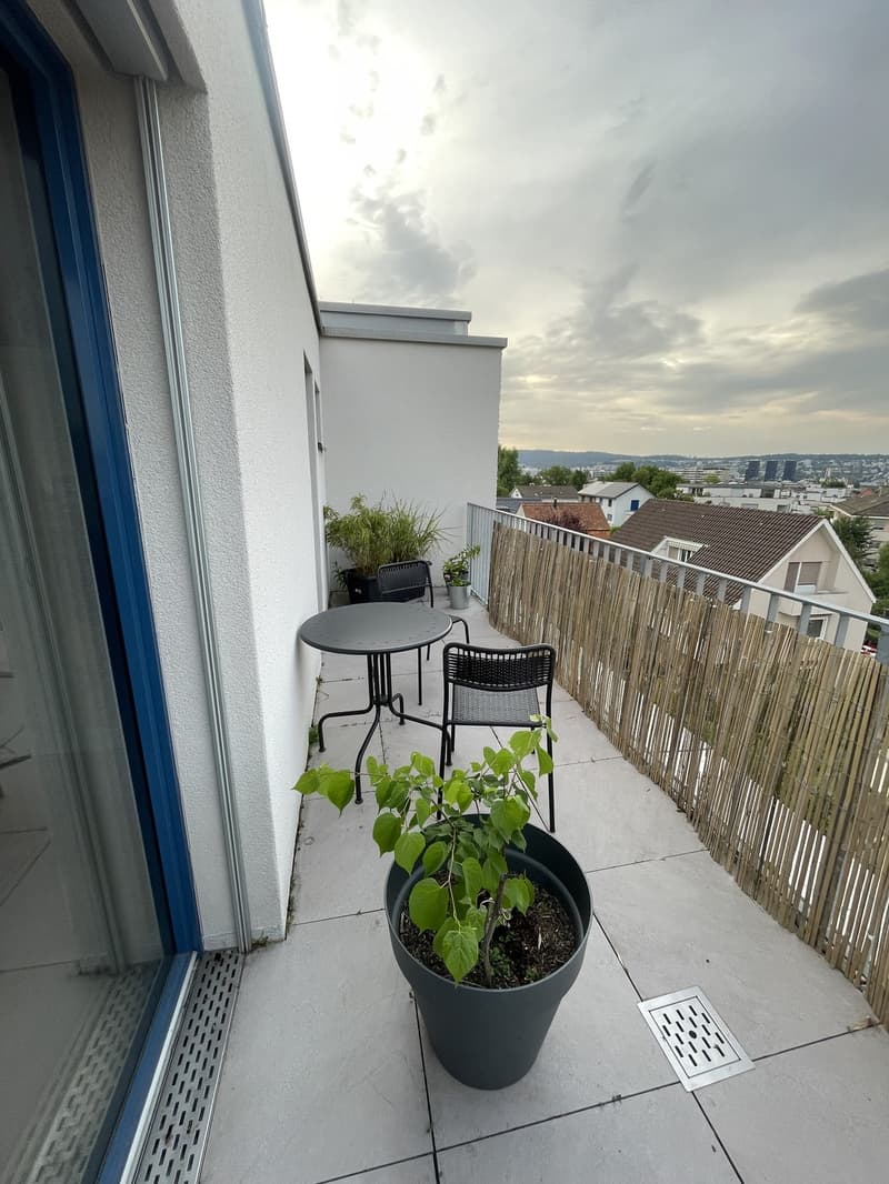 Schöne Attikawohnung mit Aussicht (3)
