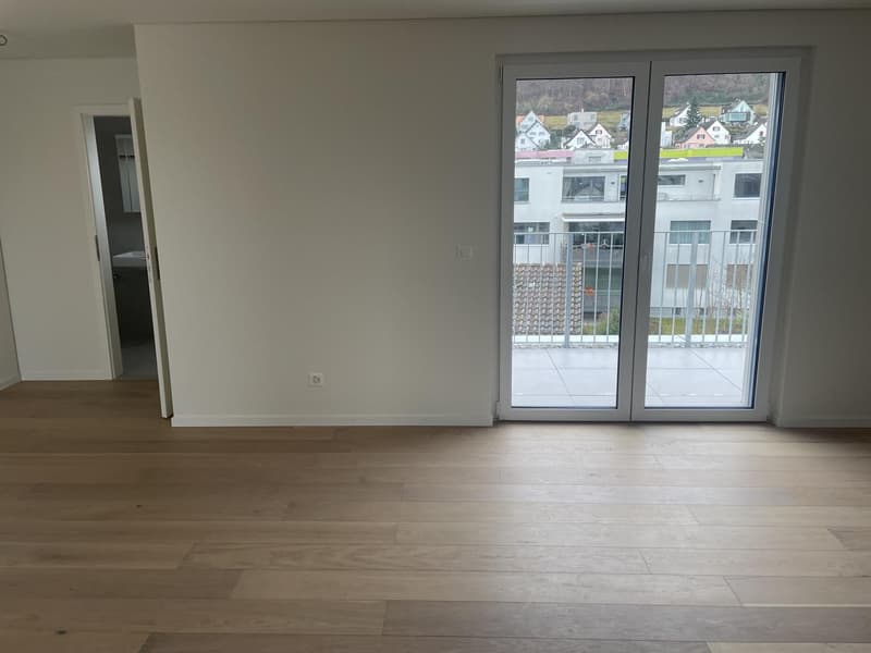 Schöne Attikawohnung mit Aussicht (9)